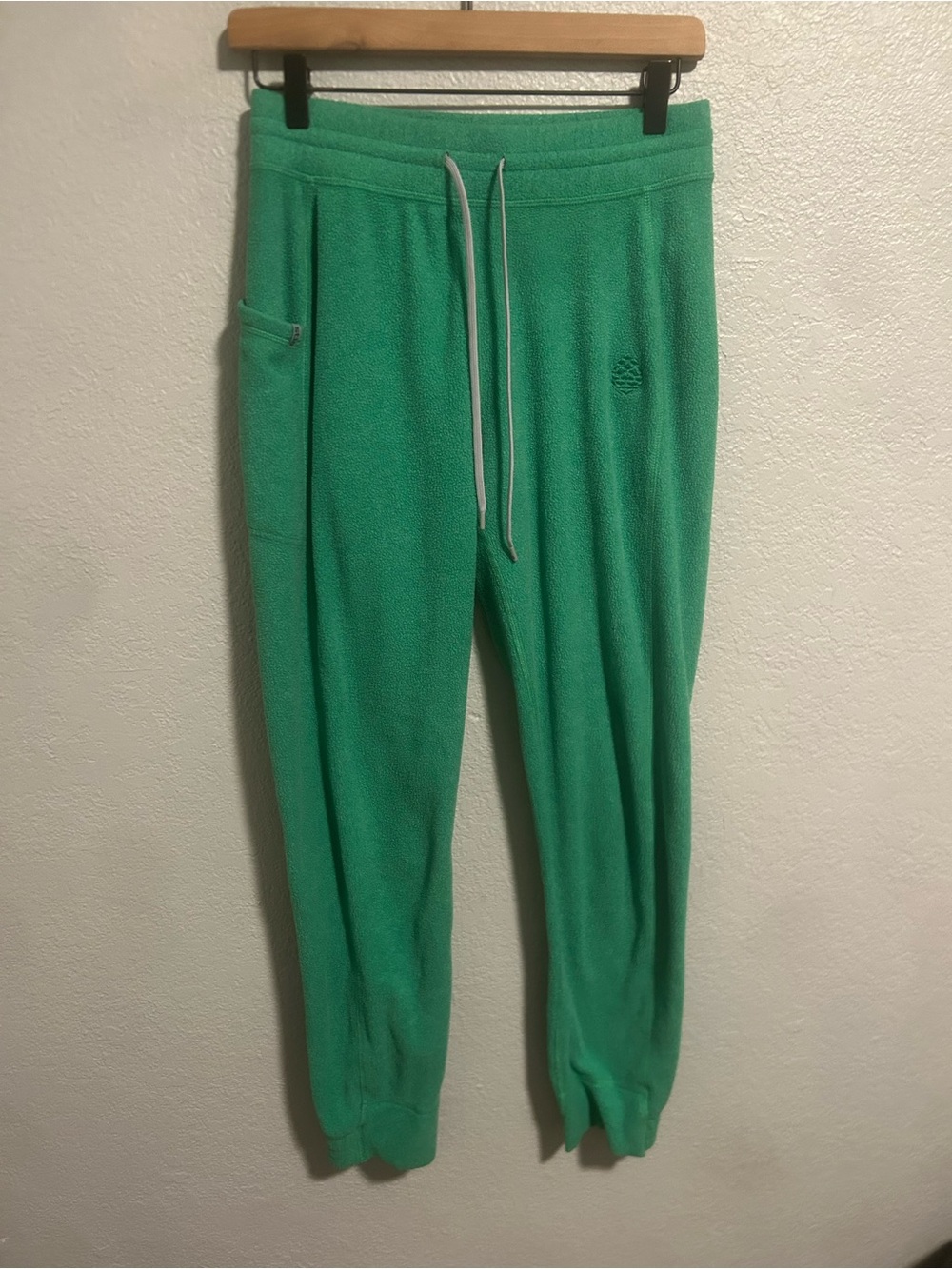 Stio fleece joggers